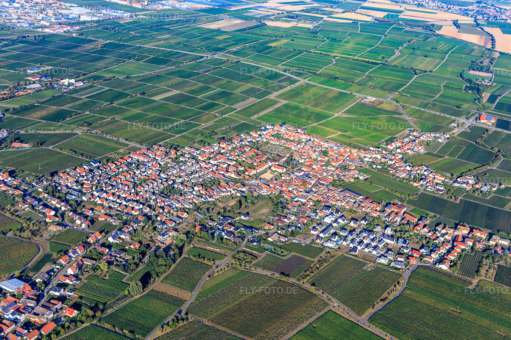 Luftbild: Ortsansicht von Südwesten im Ortsteil Diedesfeld in Neustadt im Bundesland Rheinland-Pfalz in Deutschland. Foto: IMG_111784.jpg vom 16.09.2018 durch Werner Riehm/FLY-FOTO.de