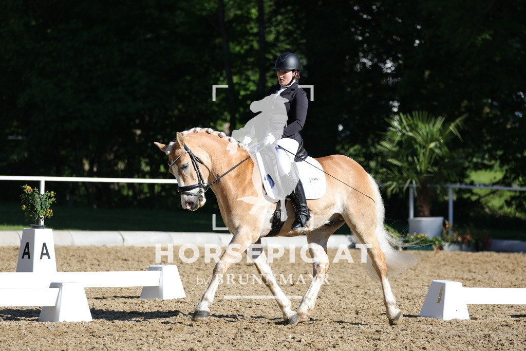 0P6A9346 | Willkommen bei Brunnmayr - Design & Fotografie – Ihrem Spezialisten für Reitturniere und Pferdeveranstaltungen in Oberösterreich, Salzburg und Bayern! Seit über 17 Jahren sind wir leidenschaftlich dabei.