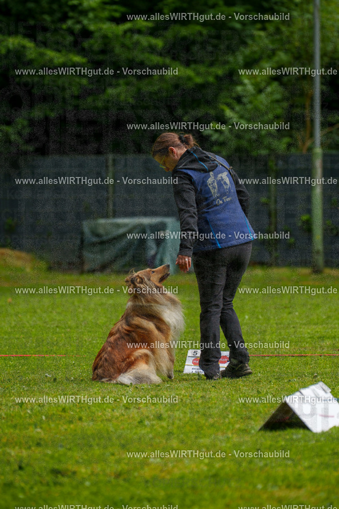 @allesWIRTHgut_Tierfotografie - www.allesWIRTHgut.de - 7R502976 | Professionelle Tierfotografie in Mönchengladbach von Daniel Wirth (allesWIRTHgut). Liebevolle & natürliche Bilder von Hunden & Katzen für unvergessliche Erinnerungen.