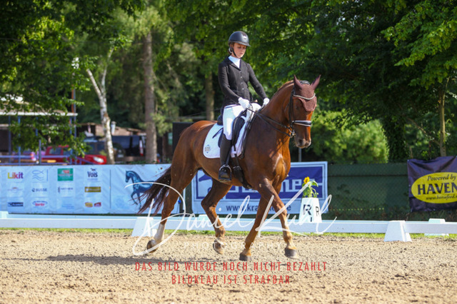 DKP41167 | Turniersportfotografie; Pferdefotografie; Dressurfotografie