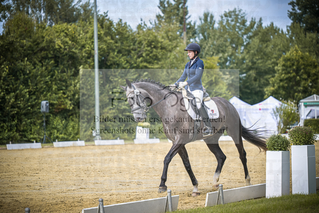 DOS_6125 | Entdecke hochwertige Reitturnierfotos von Foto Oger. Professionell, emotional und authentisch – jetzt Lieblingsmomente im Shop bestellen.Deutschlandweite Turnierfotografie. - Realisiert mit Pictrs.com