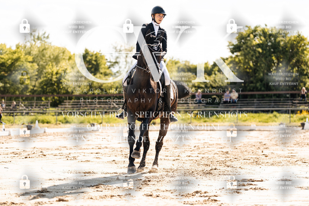 CK909271 | Turnierfotografie Pferdefotografie Trier Rheinland-Pfalz Pferdesport Reitsport Tierfotografie Sportfotografie Pferdevideo Pferdevideografie Equestrianvideography equestrianphotography  - Realisiert mit Pictrs.com