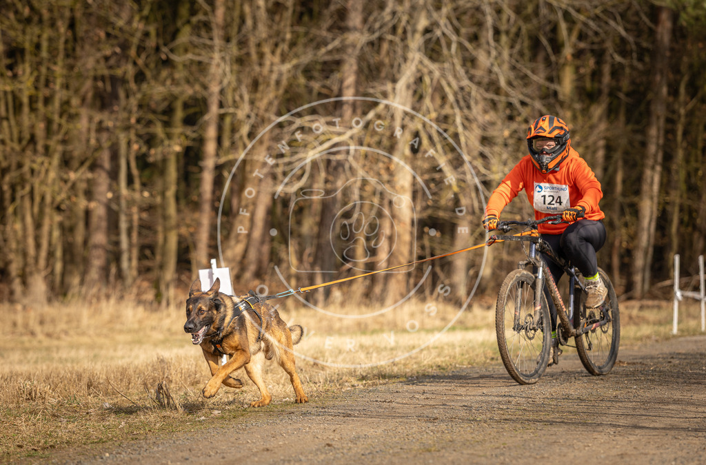 DV3A4251 | Hundefotografie, Tierfotograf, Pfotenfotografie, Fotoshooting Hund, Hunde Portrait, Hundesport, Hundeportraits, Heideshooting, Hunde, Sportfotograf, Hundefotograf, Turnierhundsport, THS,  - Realisiert mit Pictrs.com