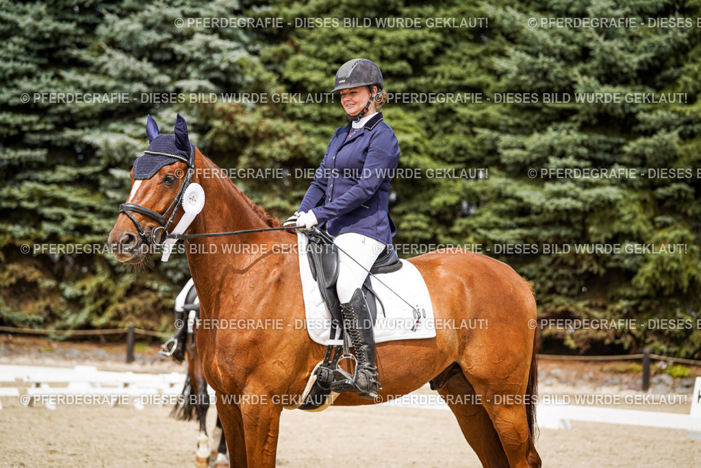 DSC04543 | Pferdegrafie