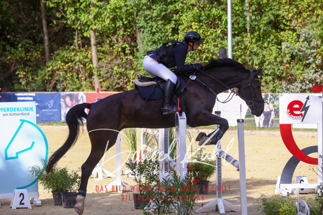 DKP42400 | Turniersportfotografie; Pferdefotografie; Dressurfotografie