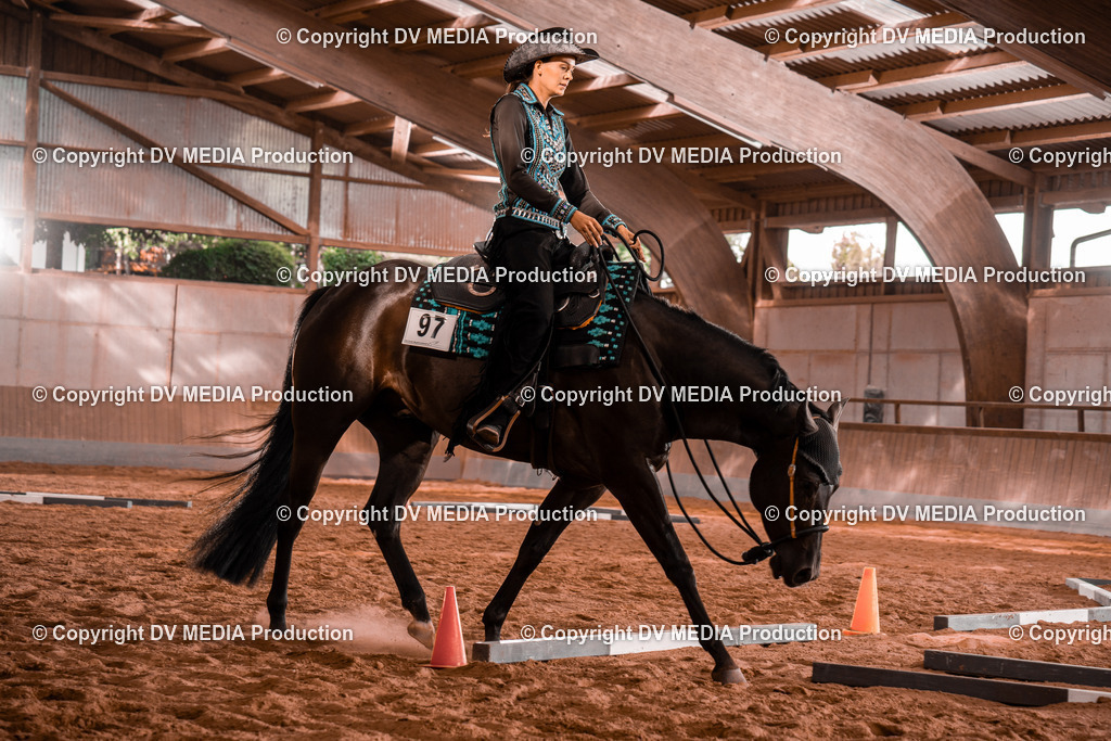 NE200163 | dv-media-shop - Realisiert mit Pictrs.com