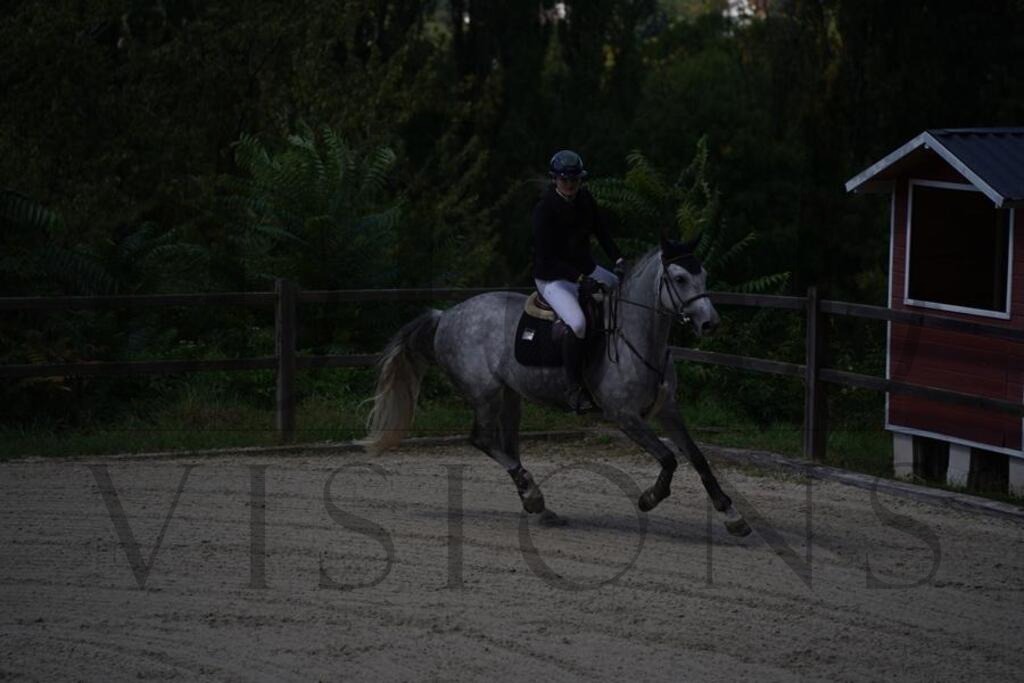 tgbhsonntag (537) | d.tail Visions - Shop - Realisiert mit Pictrs.com