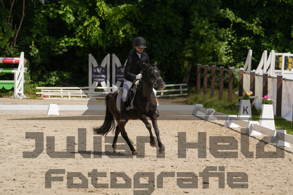 DSC03327 | Julian Held Fotografie - Realisiert mit Pictrs.com