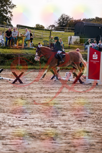 2026_10_03_Siefer-Hof_144453_Z81_19254002 | Professionelle Reitsport-, Turnier- und Eventfotografie von Robert Broda. Galerien mit ausgewählten und bearbeiteten Bildern direkt online ansehen und bestellen.