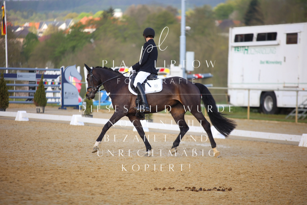 IMGT8669 | pl-fotografie