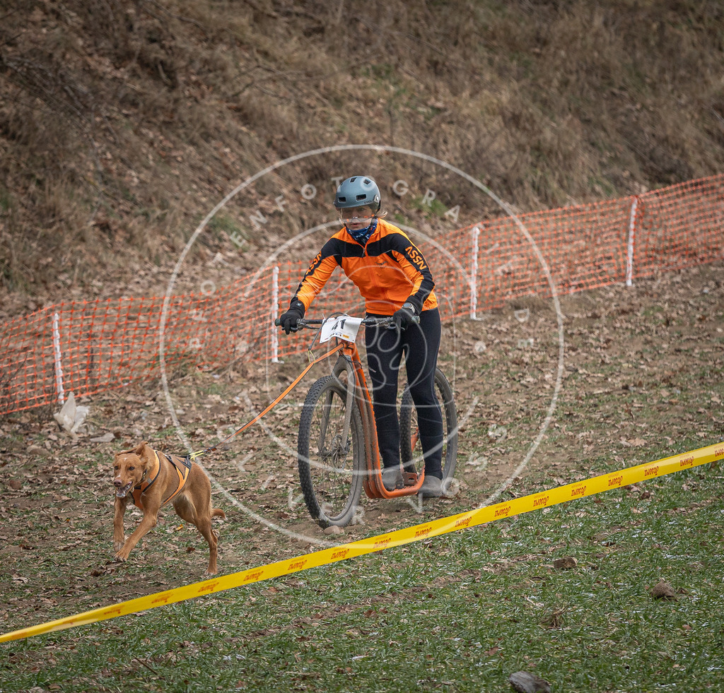 Pfotenfotografie_DV3A0397 | Hundefotografie, Tierfotograf, Pfotenfotografie, Fotoshooting Hund, Hunde Portrait, Hundesport, Hundeportraits, Heideshooting, Hunde, Sportfotograf, Hundefotograf, Turnierhundsport, THS,  - Realisiert mit Pictrs.com