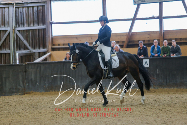 IMG_0605 | Turniersportfotografie; Pferdefotografie; Dressurfotografie