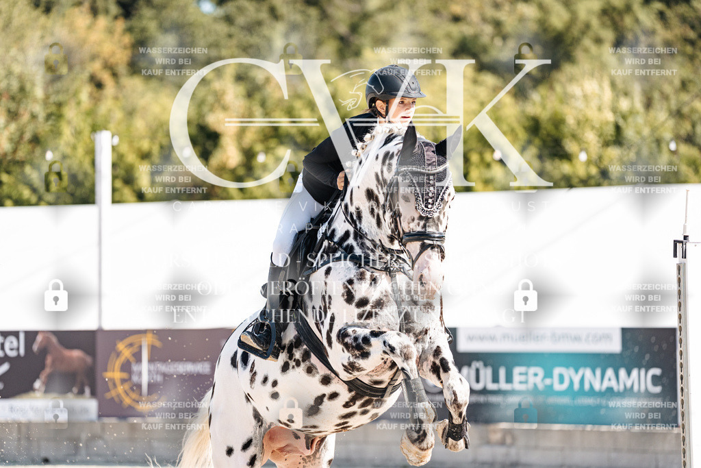 CK905011 | Turnierfotografie Pferdefotografie Trier Rheinland-Pfalz Pferdesport Reitsport Tierfotografie Sportfotografie Pferdevideo Pferdevideografie Equestrianvideography equestrianphotography  - Realisiert mit Pictrs.com