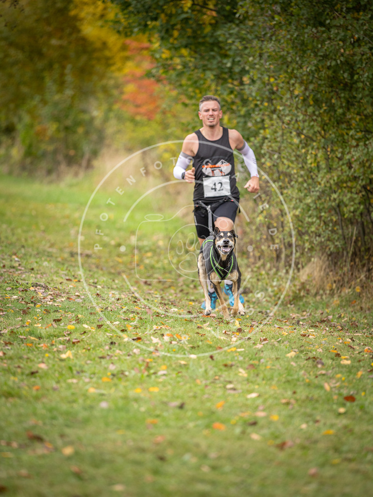 Pfotenfotografie_DV3A2313 | Hundefotografie, Tierfotograf, Pfotenfotografie, Fotoshooting Hund, Hunde Portrait, Hundesport, Hundeportraits, Heideshooting, Hunde, Sportfotograf, Hundefotograf, Turnierhundsport, THS,  - Realisiert mit Pictrs.com