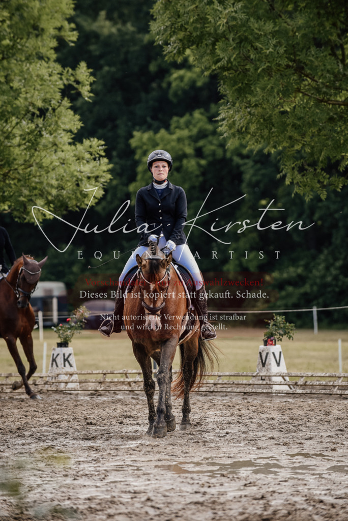 DSC_9247 | Pferde- und Turnierfotografie in Westsachsen. Pferdeportraits, Auftragszeichnungen und intuitive Kunst.
