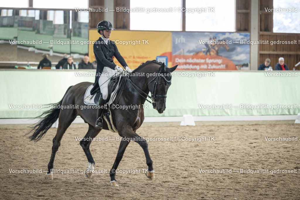 _D5A5988 | Emotionale Pferde- & People-Fotografie rund um Heidelberg, Leimen & Umgebung. Natürliche Fotos von Pferd, Mensch & Familie. Jetzt Termin sichern!