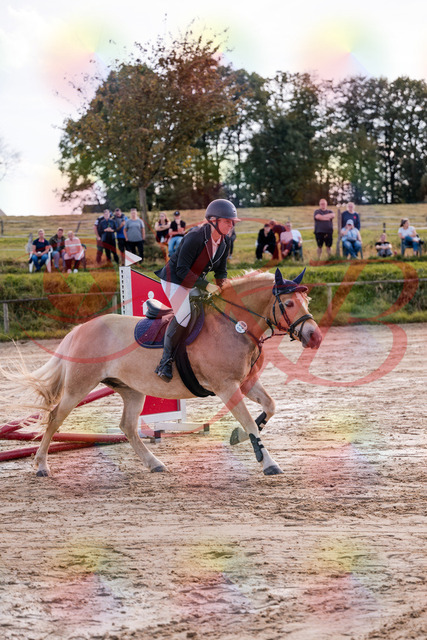 2026_10_03_Siefer-Hof_145247_Z81_31885265 | Professionelle Reitsport-, Turnier- und Eventfotografie von Robert Broda. Galerien mit ausgewählten und bearbeiteten Bildern direkt online ansehen und bestellen.