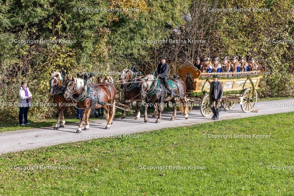 LBT24-919 | foto-bettina-krinner - Realisiert mit Pictrs.com