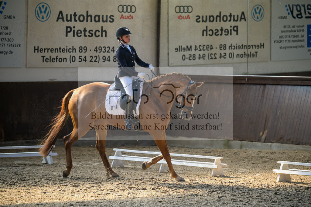 Reitturnier Voxtrup | Entdecke hochwertige Reitturnierfotos von Foto Oger. Professionell, emotional und authentisch – jetzt Lieblingsmomente im Shop bestellen.Deutschlandweite Turnierfotografie. - Realisiert mit Pictrs.com