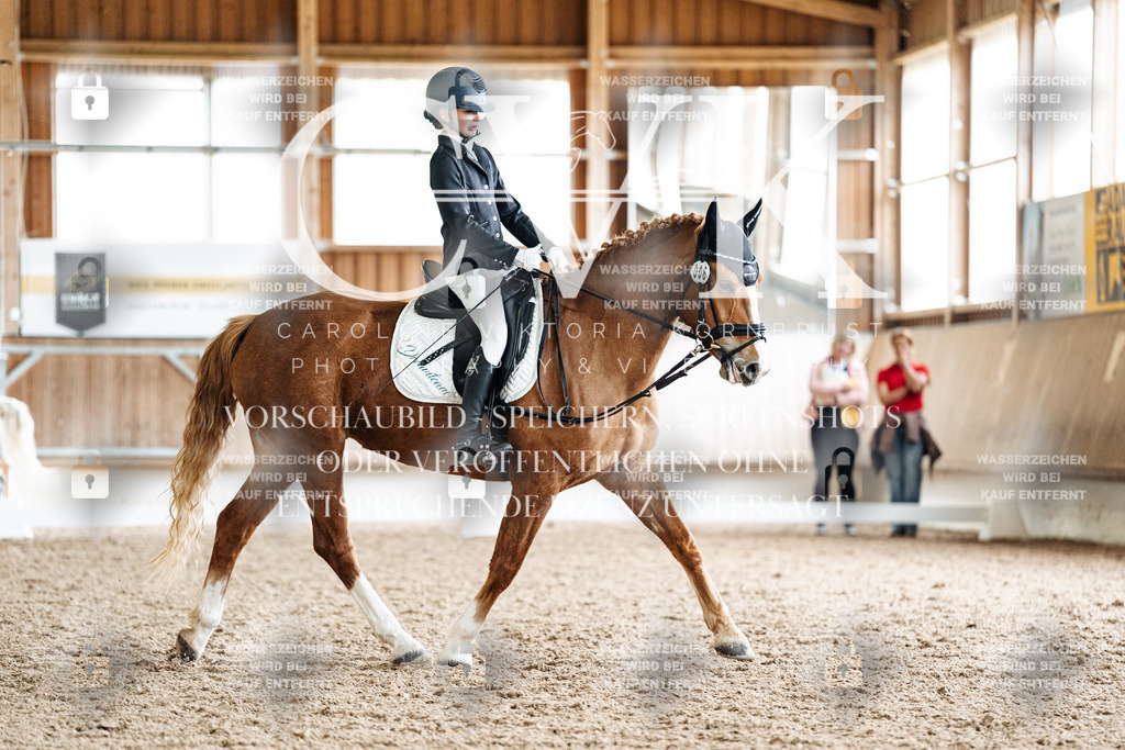 CK900818 | Turnierfotografie Pferdefotografie Trier Rheinland-Pfalz Pferdesport Reitsport Tierfotografie Sportfotografie Pferdevideo Pferdevideografie Equestrianvideography equestrianphotography  - Realisiert mit Pictrs.com