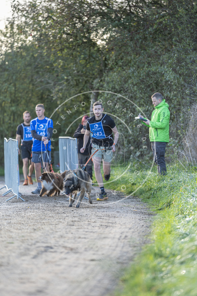 Pfotenfotografie.de_DV3A2739 | Hundefotografie, Tierfotograf, Pfotenfotografie, Fotoshooting Hund, Hunde Portrait, Hundesport, Hundeportraits, Heideshooting, Hunde, Sportfotograf, Hundefotograf, Turnierhundsport, THS, canicross - Realisiert mit Pictrs.com