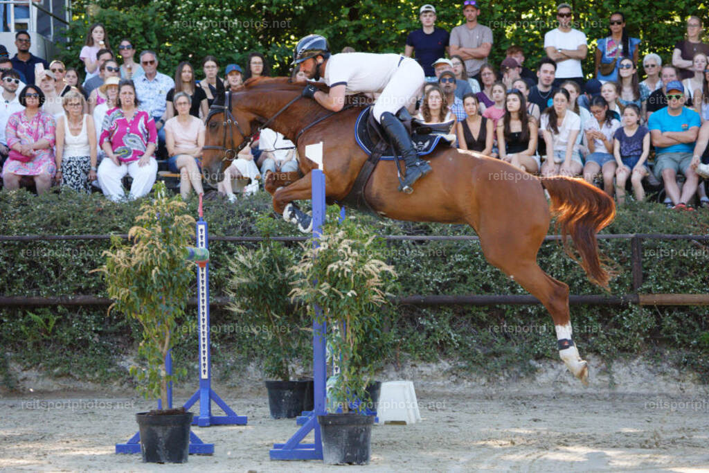 JHE_5976 | JoYa Fotografie - Realisiert mit Pictrs.com