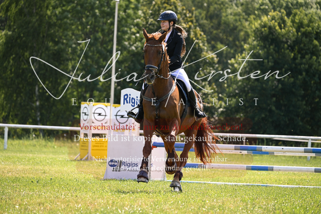 DSC_8875 | Pferde- und Turnierfotografie in Westsachsen. Pferdeportraits, Auftragszeichnungen und intuitive Kunst.