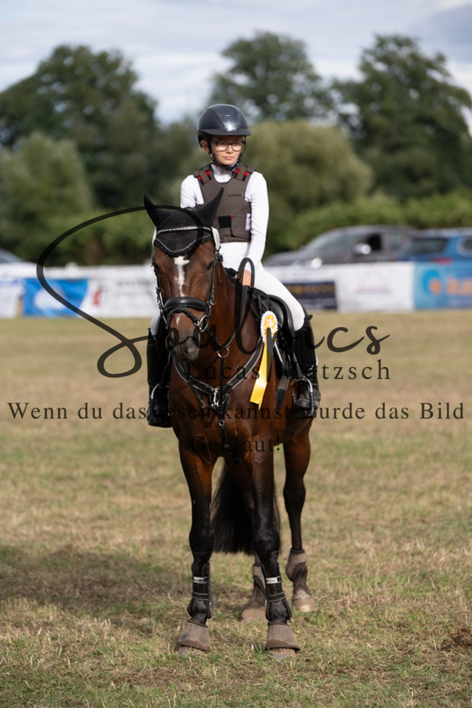 A7V01533 | Pferdefotograf