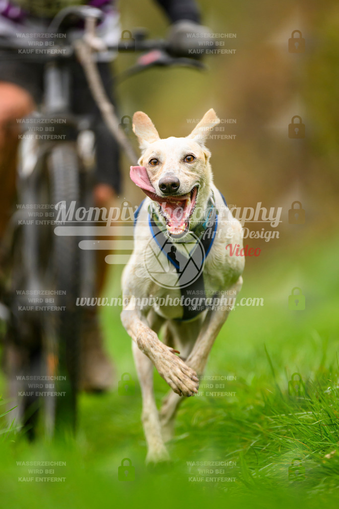 MompixPhotography_20TSB_E8_Bike-116 | PayLife
