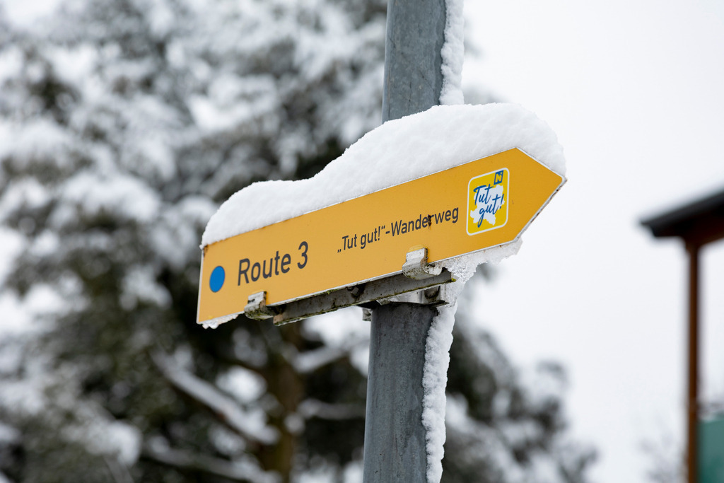 _ 3382_WINTER26_8017 | WInteraufnahmen Loosdorf 2026