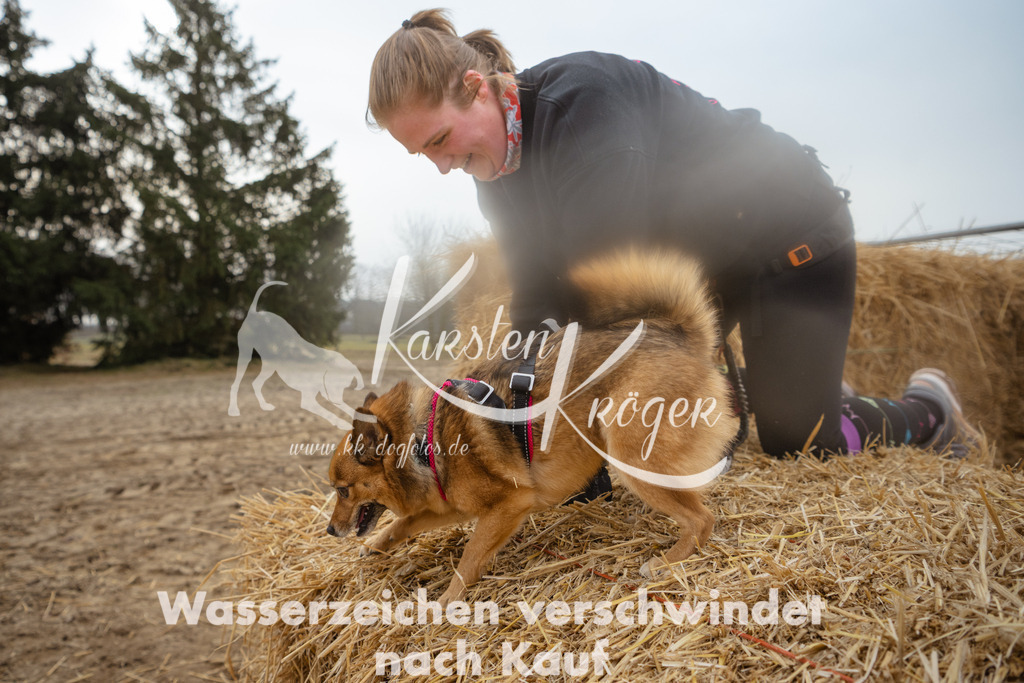 0948_ZZ99986 | kk-dogfotos