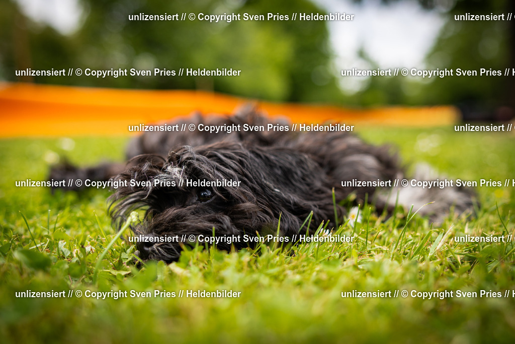 Sven Pries | 2025-05-29 - Pudelrennen KA-Durlach - Realisiert mit Pictrs.com