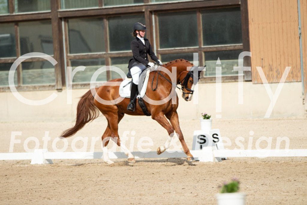 IMG_1348 | Creatify Fotografie