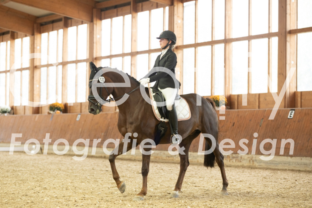 IMG_1994 | Creatify Fotografie