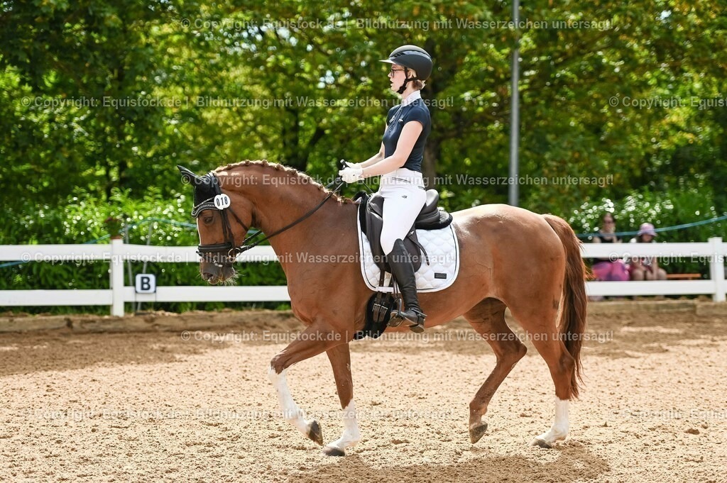 20230715_07_Dressurpferdeprfg. Kl.L_0085 | equistock