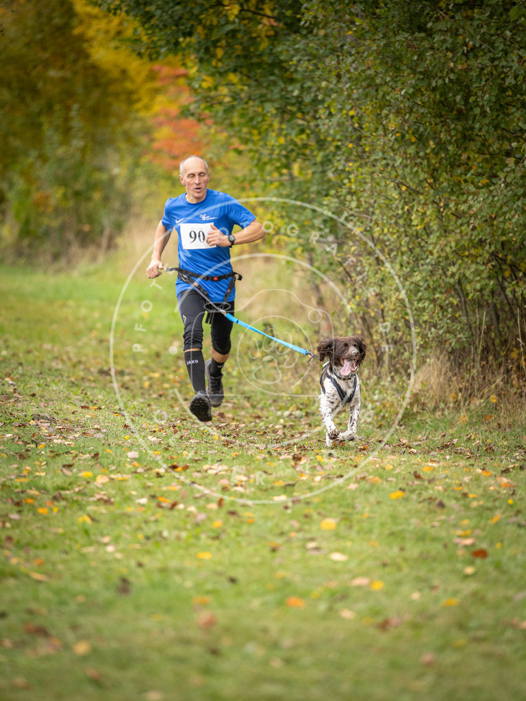 Pfotenfotografie_DV3A3236 | Hundefotografie, Tierfotograf, Pfotenfotografie, Fotoshooting Hund, Hunde Portrait, Hundesport, Hundeportraits, Heideshooting, Hunde, Sportfotograf, Hundefotograf, Turnierhundsport, THS,  - Realisiert mit Pictrs.com
