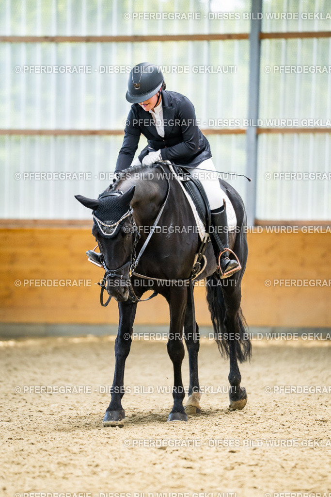 DSC04492 | Pferdegrafie