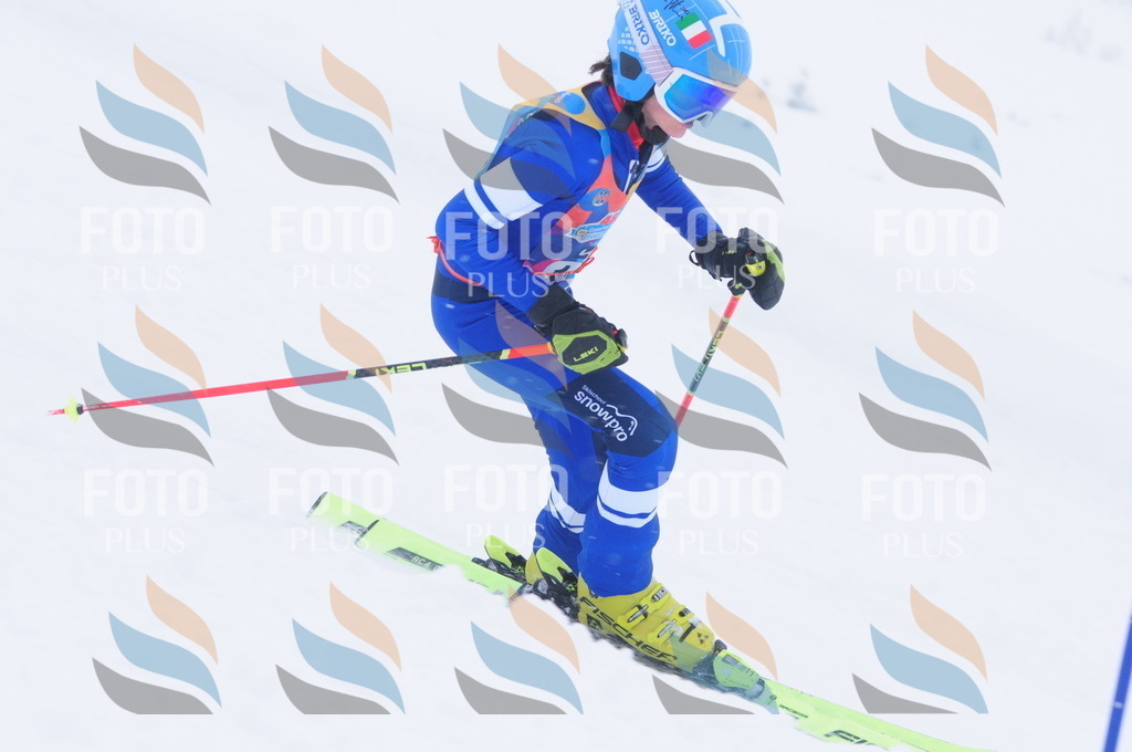 C2160 | holidayphoto