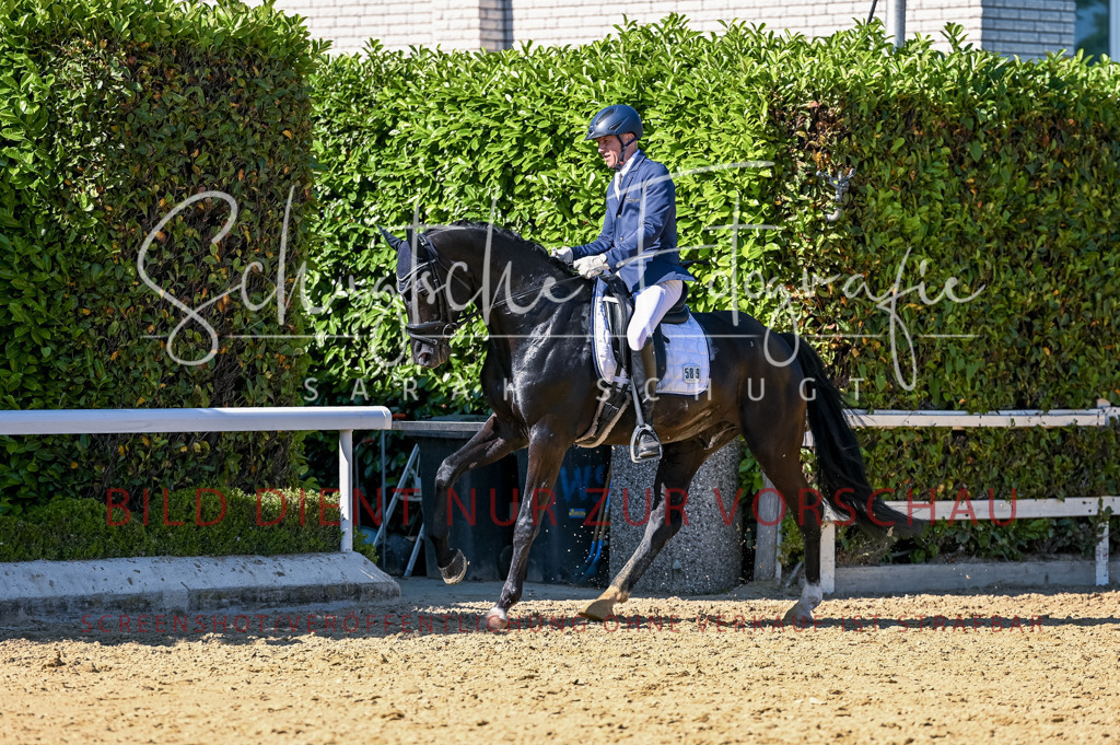 Schugtsche-Aluta25-50.Dressurpferdeprf.L-241 | Schugtsche Fotografie - Realisiert mit Pictrs.com