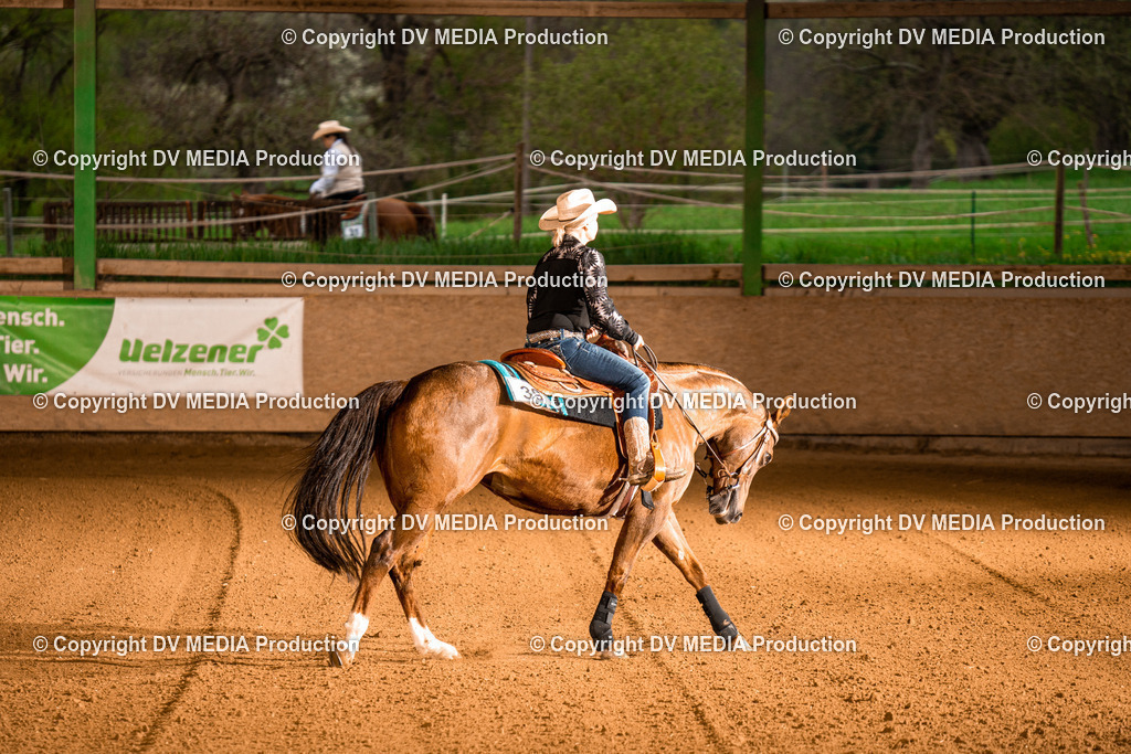 BAL01040 | dv-media-shop - Realisiert mit Pictrs.com