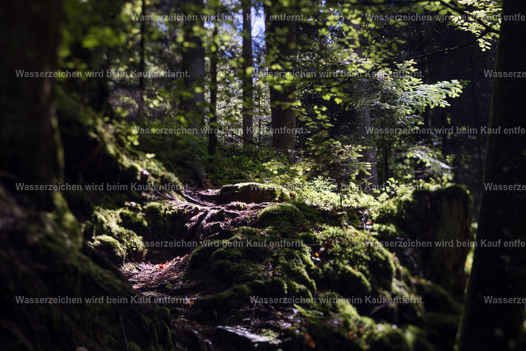 Das Reich eines ganzen Volkes | Die Botschaft zum Bild lautet: Schau hin und erlebe die Magie der vielen Welten.Das kleine Volk verneigt sich und begrüßt dich hier. Es gibt mehr Reiche auf dieser Welt und sei auch du reich in deinem Inneren, denn die Freude und die Liebe überwiegt. Und wenn Du das tust, erkennst Du noch viel mehr Reichtum in deinem Leben. Und es grüßt dich ein ganzes Volk.