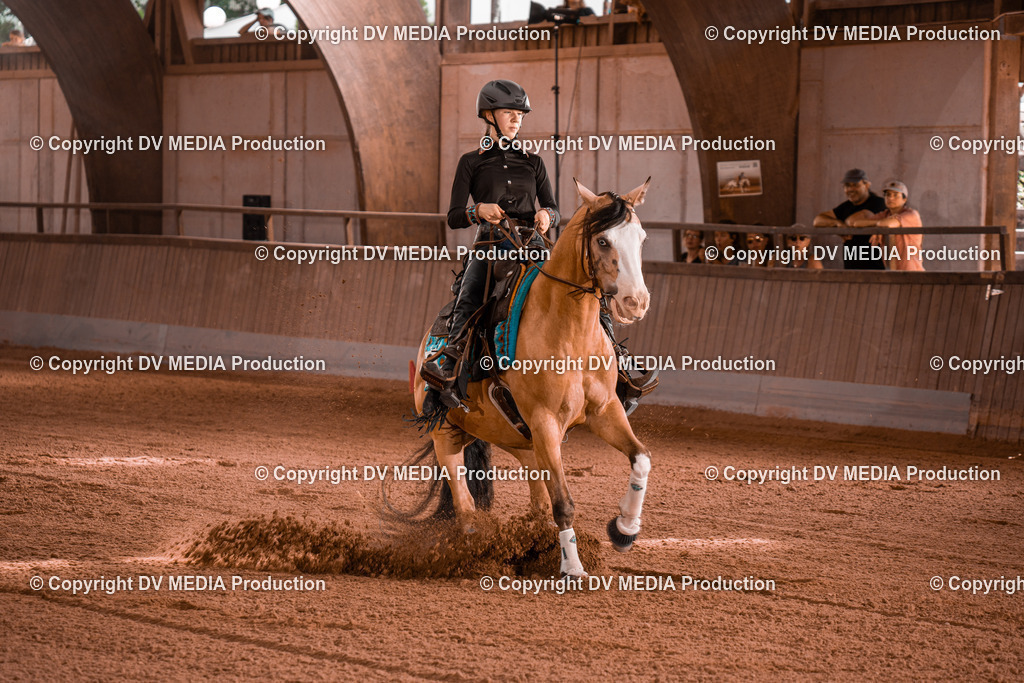 NE201115 | dv-media-shop - Realisiert mit Pictrs.com