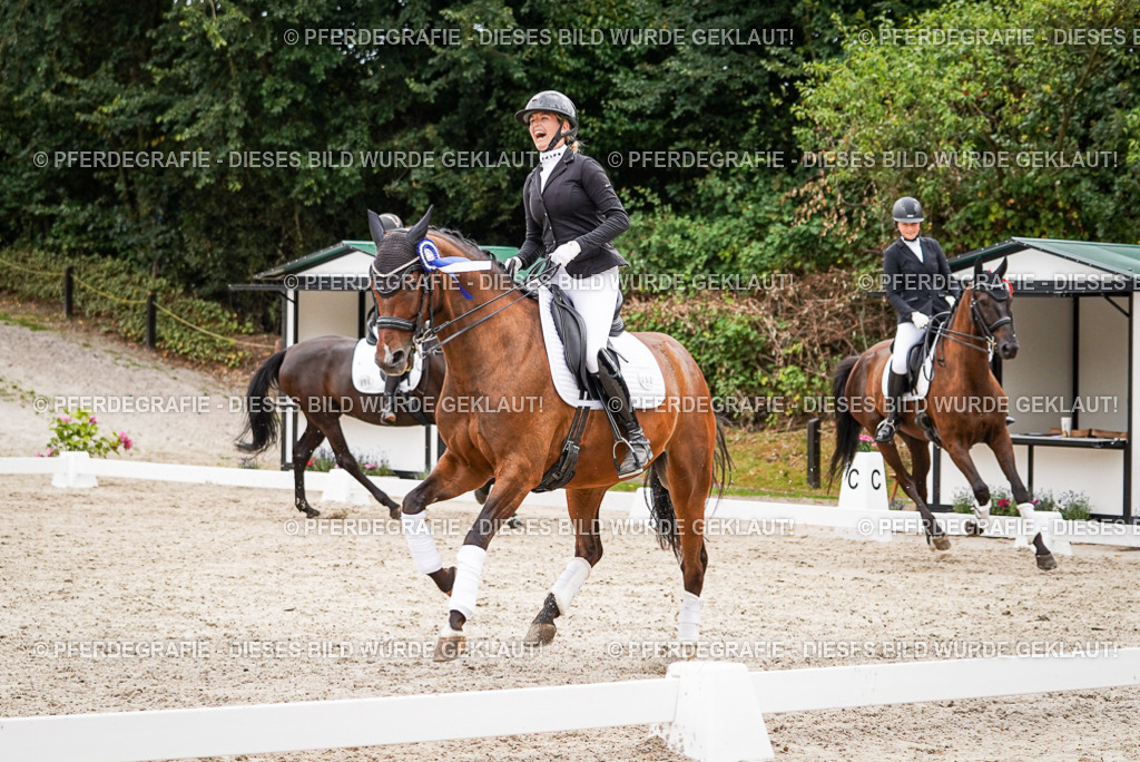 DSC04815 | Pferdegrafie