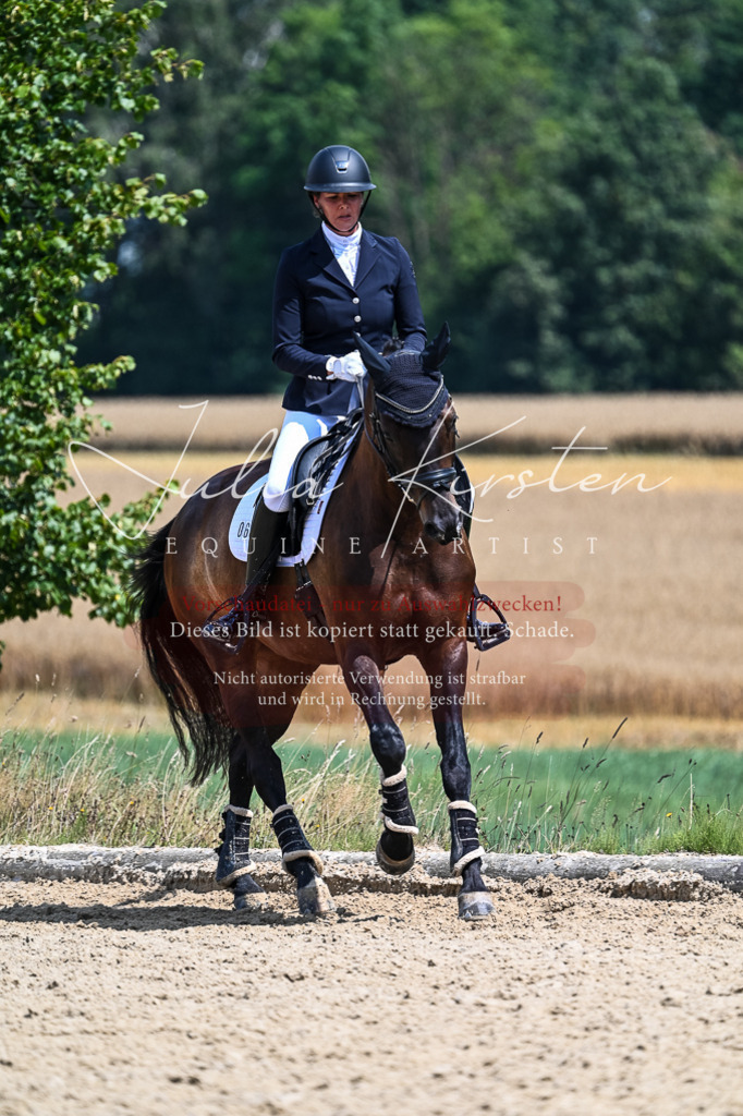 DSC_2698 | Pferde- und Turnierfotografie in Westsachsen. Pferdeportraits, Auftragszeichnungen und intuitive Kunst.