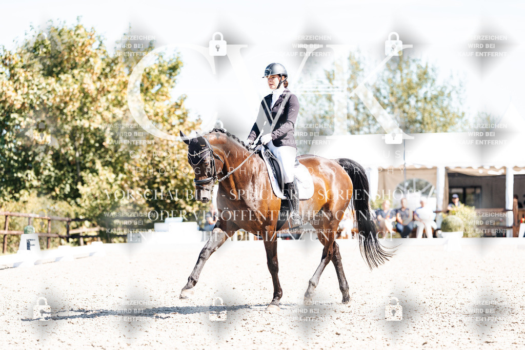 CK909723 | Turnierfotografie Pferdefotografie Trier Rheinland-Pfalz Pferdesport Reitsport Tierfotografie Sportfotografie Pferdevideo Pferdevideografie Equestrianvideography equestrianphotography  - Realisiert mit Pictrs.com
