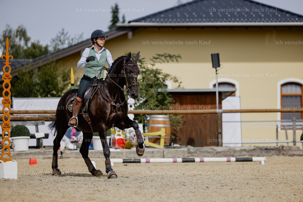 Mirjam25_FHC2025-20392 | working equitationturnier fotograf videograf stoibphotography marixx film working equitation deutschland reitsport turnierfotografie eventfotografie equestrian events