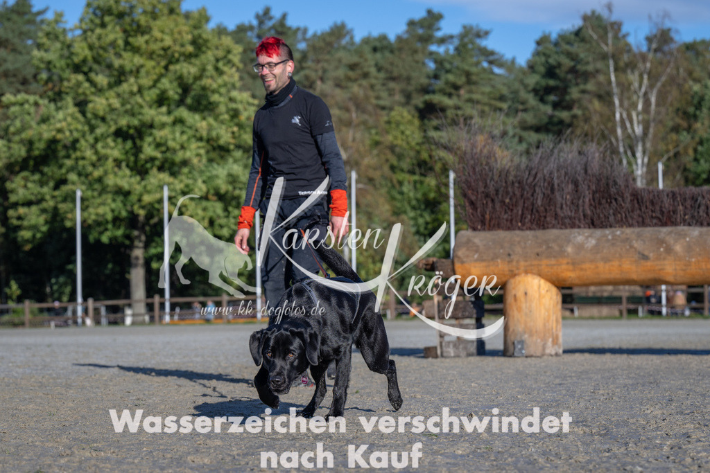 1045-_ZZ92396 | kk-dogfotos