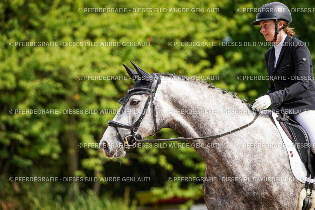 DSC08250 | Pferdegrafie