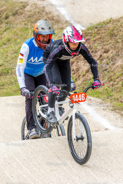 BayBMX2026-05450 | Fotogalerie von Thomas Dettweiler mit Eventbildern und lizenzfreien Fotos. Perfekt als Wandbild, für Büro, Website oder private Nutzung. - Realisiert mit Pictrs.com