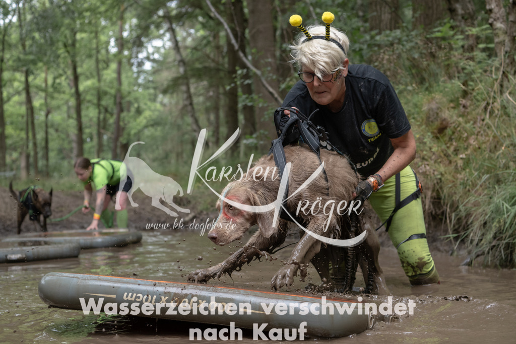 1338_ZZ95184 | kk-dogfotos